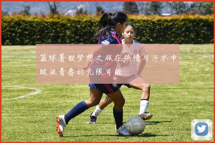 篮球暑假梦想之旅在热情与汗水中绽放青春的无限可能