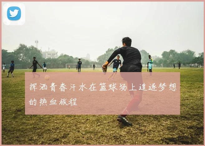 挥洒青春汗水在篮球场上追逐梦想的热血旅程