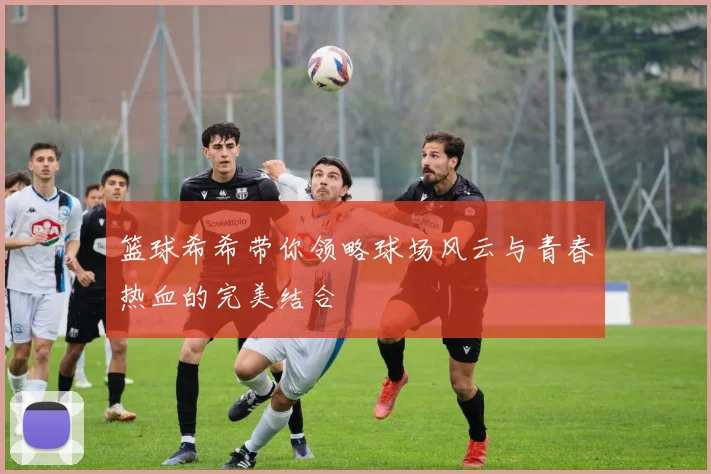 篮球希希带你领略球场风云与青春热血的完美结合