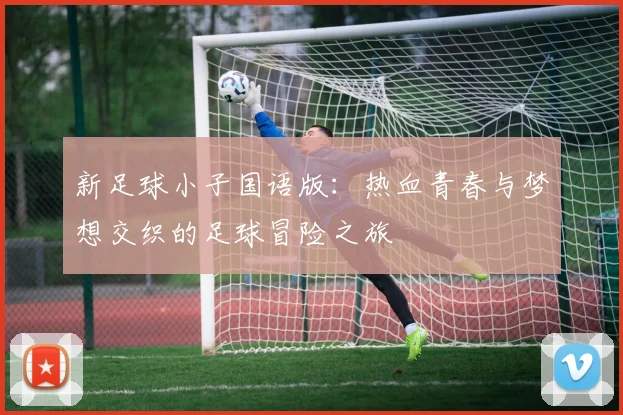 新足球小子国语版：热血青春与梦想交织的足球冒险之旅