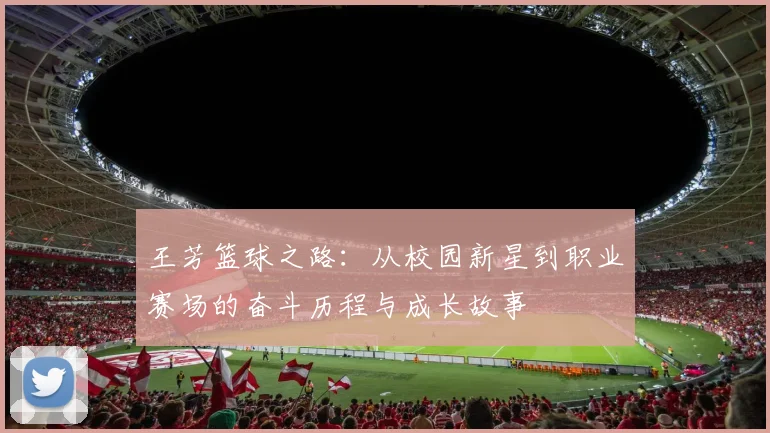 王芳篮球之路：从校园新星到职业赛场的奋斗历程与成长故事