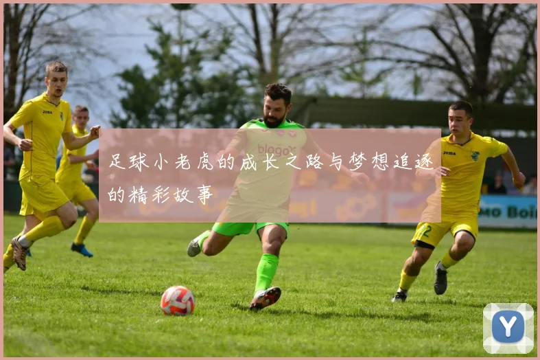 足球小老虎的成长之路与梦想追逐的精彩故事