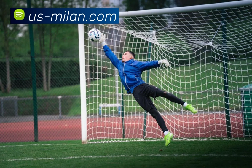 米兰官网平台生态图